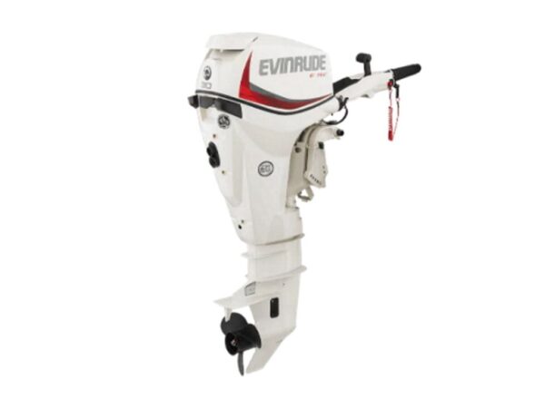 Evinrude E30DPGL E-TEC Outboard Motor